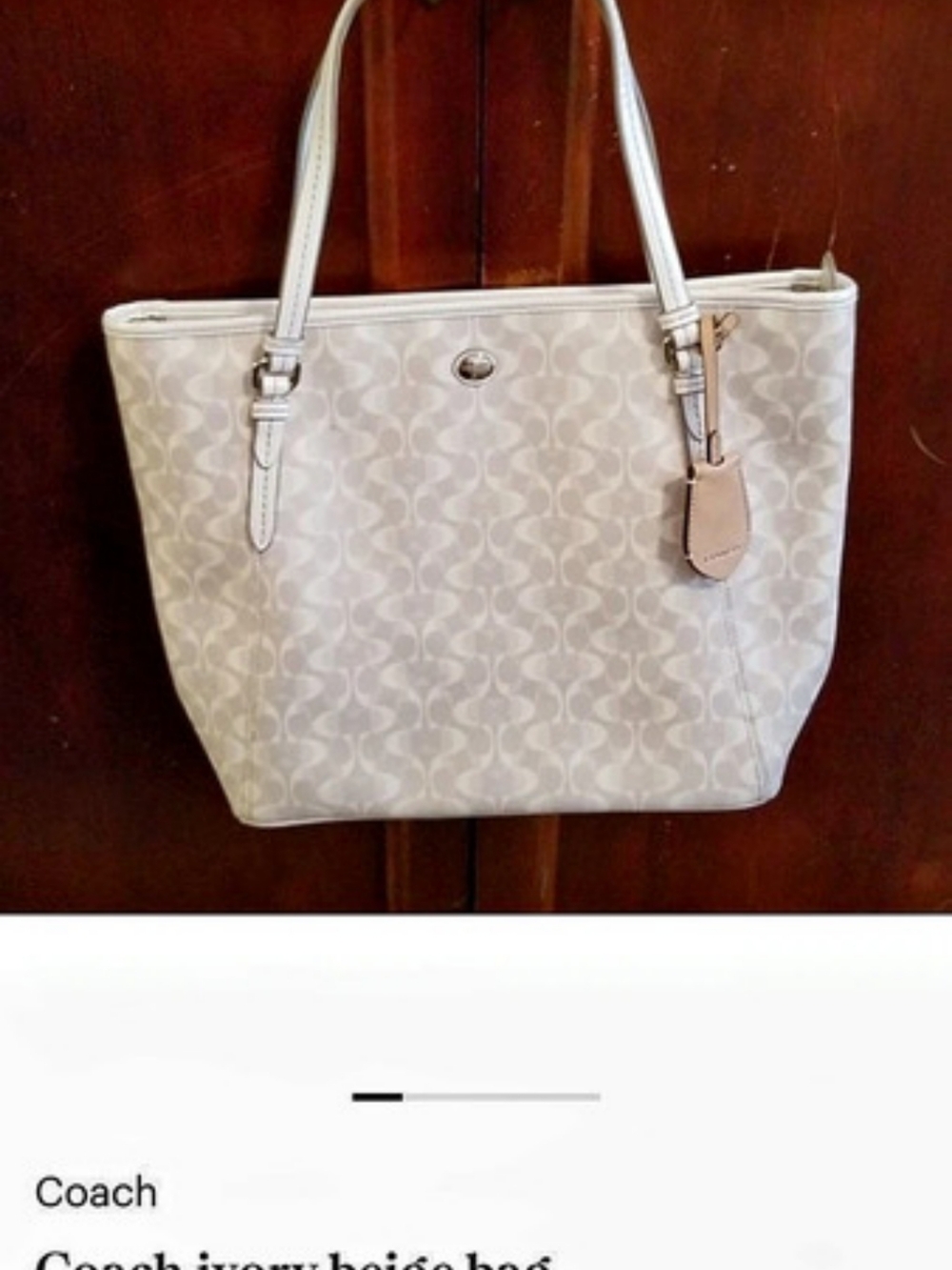 Coach Zip Top Tote In Signature Canvas Cream